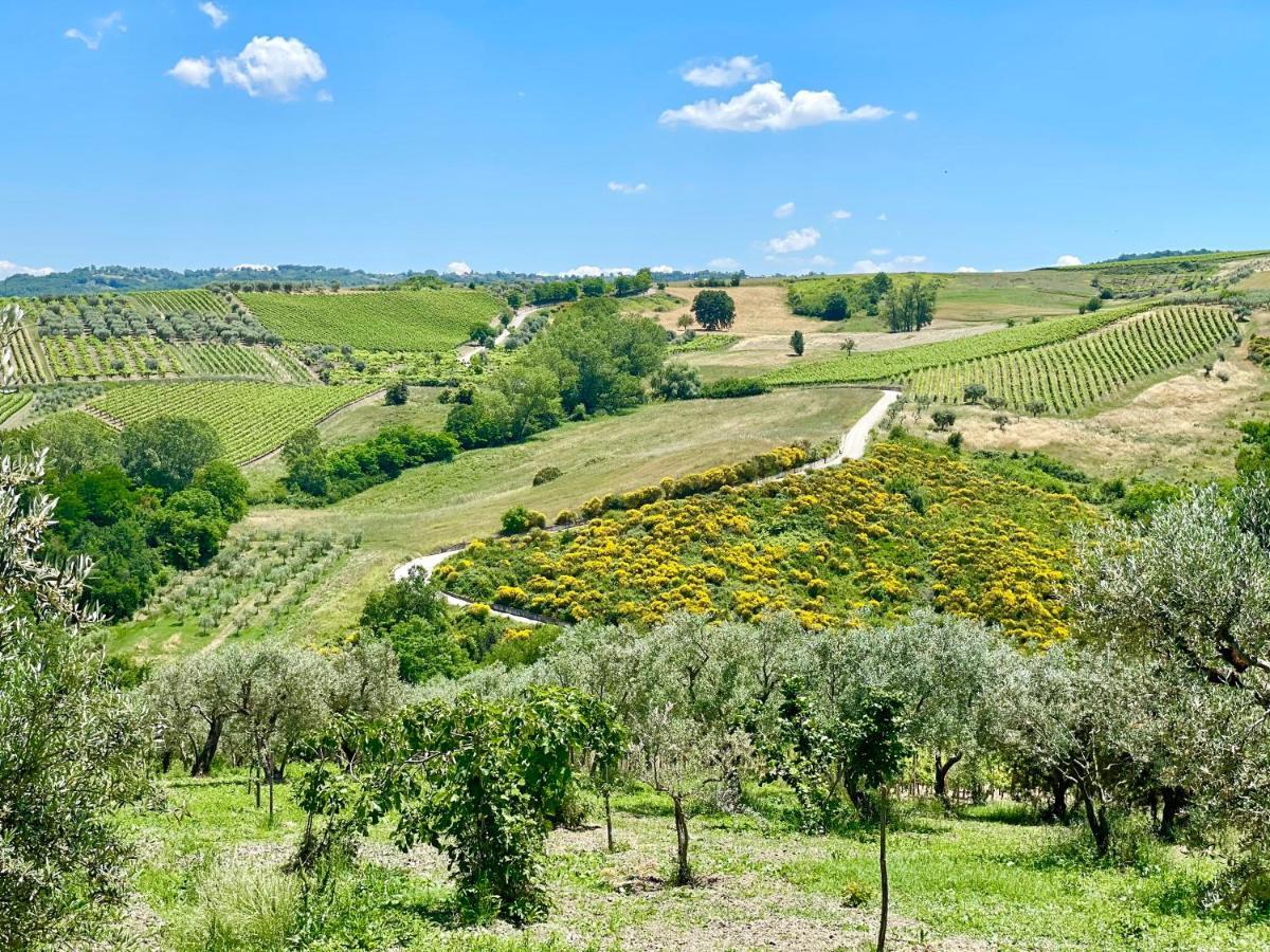 Agriturismo Le Masciare Paternopoli 外观 照片